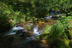 Allerheiligenwatervallen in het zwarte bos stock afbeelding Allerheiligenwatervallen in het zwarte bos stock afbeelding