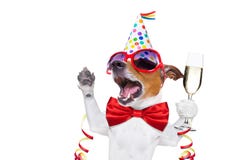 Alles Gute zum Geburtstaghund Alles Gute zum Geburtstaghund