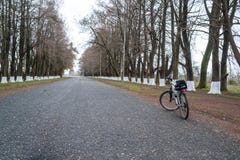 Allez à vélo sur la route parmi les arbres, Poti, la Géorgie image stock Allez à vélo sur la route parmi les arbres, Poti, la Géorgie image stock