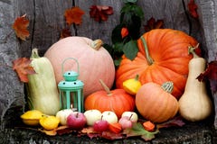 AllhelgonaaftonAutumn Pumpkin blandning på en träbakgrund royaltyfria bilder AllhelgonaaftonAutumn Pumpkin blandning på en träbakgrund royaltyfria bilder