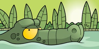 Alligator Swamp Royalty Free Stock Photos Alligator Swamp Royalty Free Stock Photos