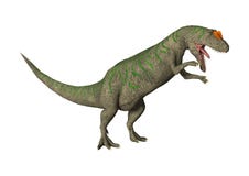 Allosaurus de dinosaure du rendu 3D sur le blanc Illustration Stock Allosaurus de dinosaure du rendu 3D sur le blanc Illustration Stock
