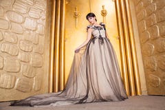 Alluring Sexy Full Length Woman In Evening Dress Posing Over Golden Studio Background Royalty Free Stock Photography Alluring Sexy Full Length Woman In Evening Dress Posing Over Golden Studio Background Royalty Free Stock Photography