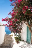 Allée grecque traditionnelle sur l'île de Sifnos images stock Allée grecque traditionnelle sur l'île de Sifnos images stock