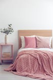 Almohadas rosadas y manta acogedora en sola cama en la habitación elegante, espacio de la copia en la pared blanca vacía foto de archivo Almohadas rosadas y manta acogedora en sola cama en la habitación elegante, espacio de la copia en la pared blanca vacía foto de archivo