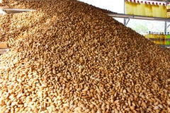 Almonds in a market in Iran royalty free stock image Almonds in a market in Iran royalty free stock image