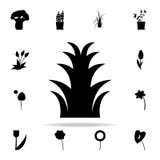 aloe icon. Plants icons universal set for web and mobile royalty free illustration aloe icon. Plants icons universal set for web and mobile royalty free illustration