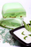 Aloe, Soap, Moisturizer Stock Images Aloe, Soap, Moisturizer Stock Images