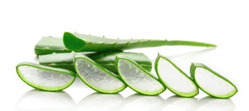 Aloe Vera Fresh Leaf Over White Stock Photo - Image of cactus ...