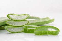Aloe vera fresh leaf water can help neutralize free radicals and royalty free stock photos Aloe vera fresh leaf water can help neutralize free radicals and royalty free stock photos