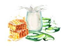 Aloe Βέρα με το μέλι και το ποτήρι του γάλακτος Συρμένη χέρι απεικόνιση Watercolor απεικόνιση αποθεμάτων Aloe Βέρα με το μέλι και το ποτήρι του γάλακτος Συρμένη χέρι απεικόνιση Watercolor απεικόνιση αποθεμάτων