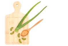 Aloe Βέρα στοκ φωτογραφία με δικαίωμα ελεύθερης χρήσης Aloe Βέρα στοκ φωτογραφία με δικαίωμα ελεύθερης χρήσης