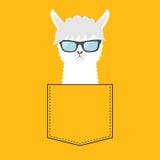 Alpagowa lamy twarzy głowa w kieszeni szkieł odosobniony słońca biel śliczna zwierzę kreskówka Kawaii charakter Junakowanie linia ilustracja wektor Alpagowa lamy twarzy głowa w kieszeni szkieł odosobniony słońca biel śliczna zwierzę kreskówka Kawaii charakter Junakowanie linia ilustracja wektor