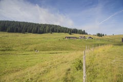 Alpine Weiden auf der Asiago-Hochebene in Italien lizenzfreies stockbild Alpine Weiden auf der Asiago-Hochebene in Italien lizenzfreies stockbild