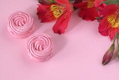 Alstroemeria blommar rosa röd pappers- bakgrund för den vita sefir Royaltyfri Fotografi Alstroemeria blommar rosa röd pappers- bakgrund för den vita sefir Royaltyfri Fotografi