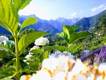 Altagnana - Massa - 29. Juni 2019 - andeutende Ansicht der Apuan-Alpen stockfotos Altagnana - Massa - 29. Juni 2019 - andeutende Ansicht der Apuan-Alpen stockfotos