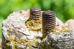 Alte Schrauben im Stein lizenzfreies stockfoto Alte Schrauben im Stein lizenzfreies stockfoto