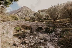 Alte Steinbrücke, die zu den Olivenhain führt lizenzfreies stockbild Alte Steinbrücke, die zu den Olivenhain führt lizenzfreies stockbild