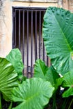 Alte verlassene versteckte Metalltür lizenzfreie stockfotos Alte verlassene versteckte Metalltür lizenzfreie stockfotos