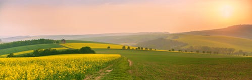 Alte Windmühle am Sonnenuntergang Ist ein grünes Feld voll der Weizenanlagen Moray fängt panoram auf lizenzfreie stockfotos Alte Windmühle am Sonnenuntergang Ist ein grünes Feld voll der Weizenanlagen Moray fängt panoram auf lizenzfreie stockfotos