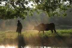 Alter Landwirt unter dem alten Banyanbaum lizenzfreie stockbilder Alter Landwirt unter dem alten Banyanbaum lizenzfreie stockbilder