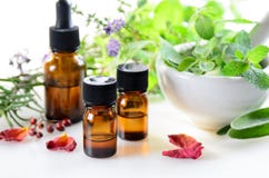 Alternative therapy with herbs and essential oils Royalty Free Stock Photo Alternative therapy with herbs and essential oils Royalty Free Stock Photo