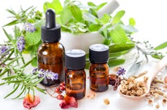 Alternative therapy with herbs and essential oils Royalty Free Stock Images Alternative therapy with herbs and essential oils Royalty Free Stock Images