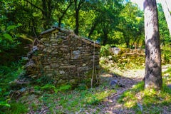 Altes Steinhaustiefes im Wald verließ Steinhaus in stockfoto Altes Steinhaustiefes im Wald verließ Steinhaus in stockfoto
