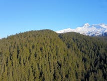Alto sopra gli alberi nell'Alaska fotografia stock libera da diritti Alto sopra gli alberi nell'Alaska fotografia stock libera da diritti