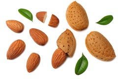 amandes avec les feuilles vertes d'isolement sur le fond blanc Vue supérieure photographie stock libre de droits amandes avec les feuilles vertes d'isolement sur le fond blanc Vue supérieure photographie stock libre de droits
