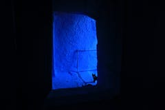 AMAZING Bleu Lighting Cat royalty free stock photo AMAZING Bleu Lighting Cat royalty free stock photo