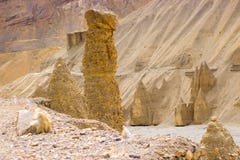 Amazing huge sandy figures in the high desert stock photography Amazing huge sandy figures in the high desert stock photography