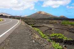 Amazing landscape of Lanzarote Island with volcanic black ground with the vineyards of La Geria, Canary Islands, Spain royalty free stock photos Amazing landscape of Lanzarote Island with volcanic black ground with the vineyards of La Geria, Canary Islands, Spain royalty free stock photos