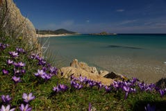 Amazing view - Chia Beach - Sardinia stock image Amazing view - Chia Beach - Sardinia stock image