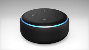 amazon alexa vector