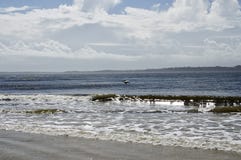 The Amelia Island, Fernandina Beach, Florida, USA stock images The Amelia Island, Fernandina Beach, Florida, USA stock images