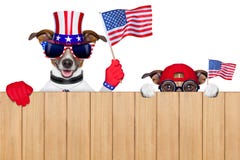 American Dogs Stock Photography