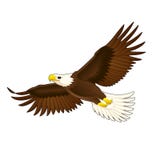 American eagle.
