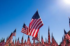 American Flag Display in honor of Veterans Day