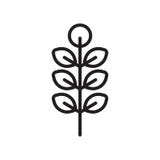 American Mountain Ash icon vector sign and symbol isolated on white background, American Mountain Ash logo concept vector illustration American Mountain Ash icon vector sign and symbol isolated on white background, American Mountain Ash logo concept vector illustration