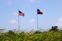 American and Texas Flag Waving Above Cattail plants stock illustration American and Texas Flag Waving Above Cattail plants stock illustration