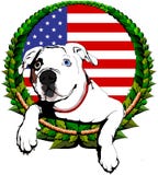 Amerikaanse buldog met Amerikaanse vlag stock illustratie Amerikaanse buldog met Amerikaanse vlag stock illustratie