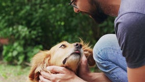 Amicizia fra gli esseri umani e gli animali domestici Amicizia fra gli esseri umani e gli animali domestici