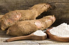 Amidon de manioc cru - Manihot esculenta Fond en bois photo stock Amidon de manioc cru - Manihot esculenta Fond en bois photo stock