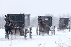 Amish koń i powozik, śnieg, burza obrazy royalty free Amish koń i powozik, śnieg, burza obrazy royalty free