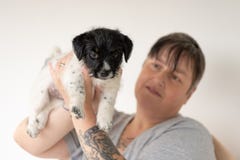 Amizade entre o proprietário e o seu cão de cachorrinho de Jack Russell Terrier do bebê O alimentador está vestindo-o filhote de fotos de stock Amizade entre o proprietário e o seu cão de cachorrinho de Jack Russell Terrier do bebê O alimentador está vestindo-o filhote de fotos de stock