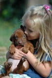 Amor de filhote de cachorro da criança fotografia de stock Amor de filhote de cachorro da criança fotografia de stock