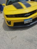 Amore di Camaro immagine stock Amore di Camaro immagine stock