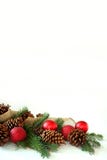 Ampoule de Noël, cône de pin, et frontière à feuilles persistantes d'isolement sur Pentecôte image stock Ampoule de Noël, cône de pin, et frontière à feuilles persistantes d'isolement sur Pentecôte image stock