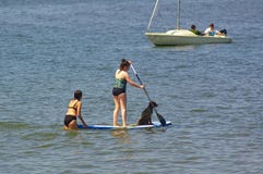 Amrum Tyskland - Juni 1st, 2016 - flicka i baddräkt på ett standup skovelbräde med hennes hund, medan en annan flicka i baddräkt royaltyfria foton Amrum Tyskland - Juni 1st, 2016 - flicka i baddräkt på ett standup skovelbräde med hennes hund, medan en annan flicka i baddräkt royaltyfria foton